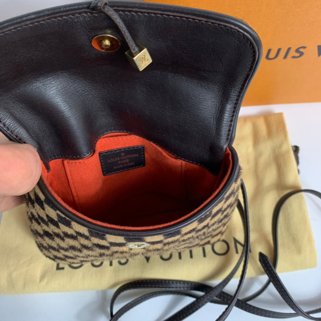 Louis Vuitton Pochette Gazelle